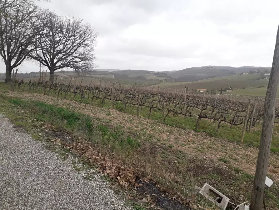 Immagine 4 di Rustico / casale in vendita  a Castellina In Chianti