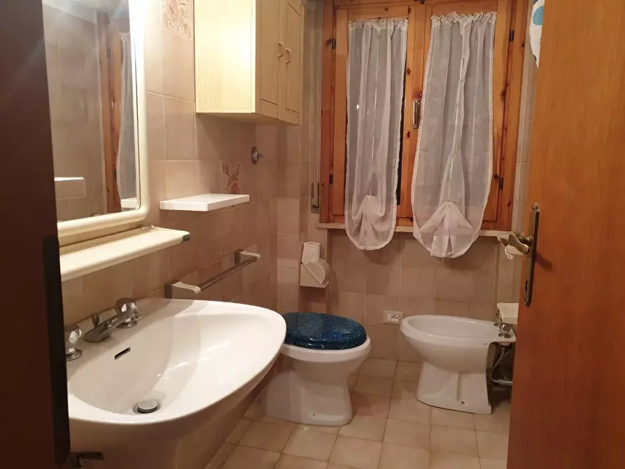 Immagine 10 di Appartamento in affitto  a Rosignano Marittimo