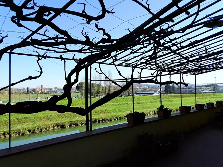 Immagine 17 di Terratetto in vendita  a San Miniato