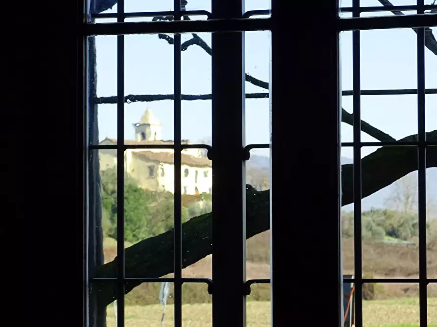 Immagine 8 di Terratetto in vendita  a San Miniato