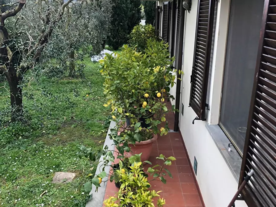 Immagine 41 di Casa indipendente in vendita  a San Giuliano Terme