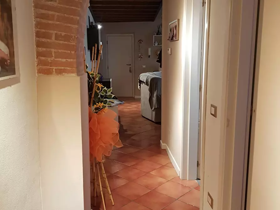 Immagine 15 di Appartamento in vendita  a Calci