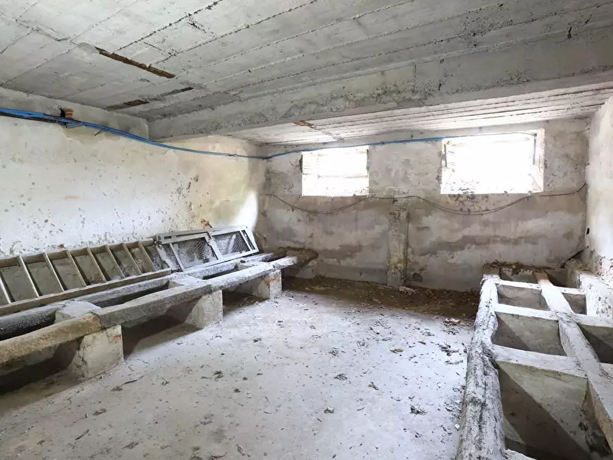 Immagine 12 di Immobile di prestigio in vendita  a Pisa