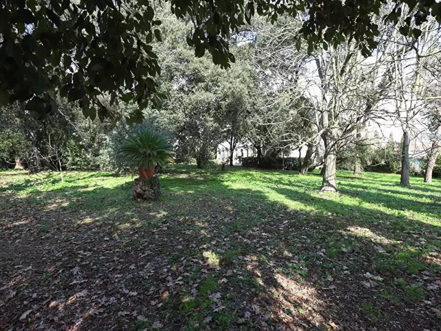 Immagine 56 di Immobile di prestigio in vendita  a Pisa