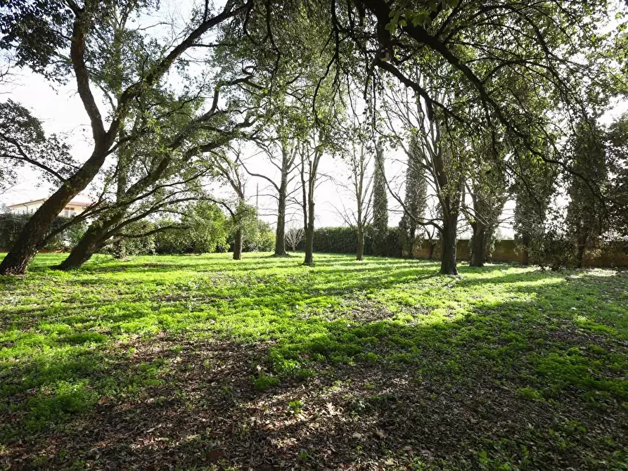 Immagine 55 di Immobile di prestigio in vendita  a Pisa