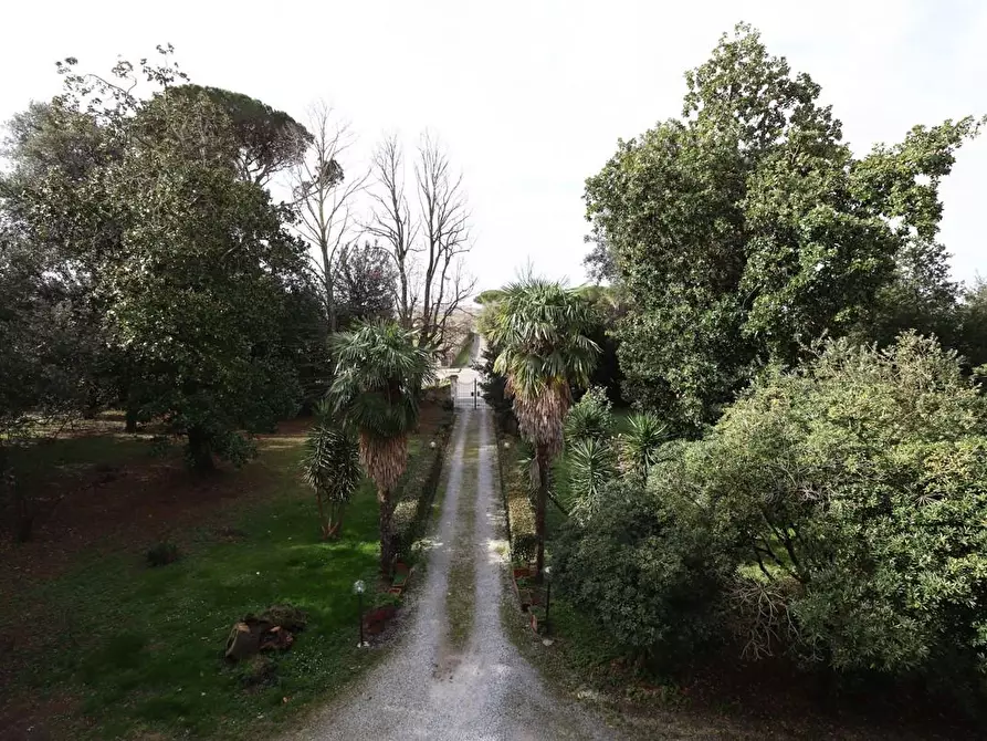 Immagine 33 di Immobile di prestigio in vendita  a Pisa