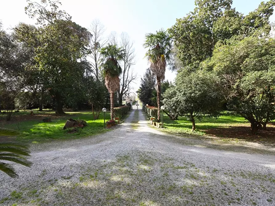 Immagine 8 di Immobile di prestigio in vendita  a Pisa