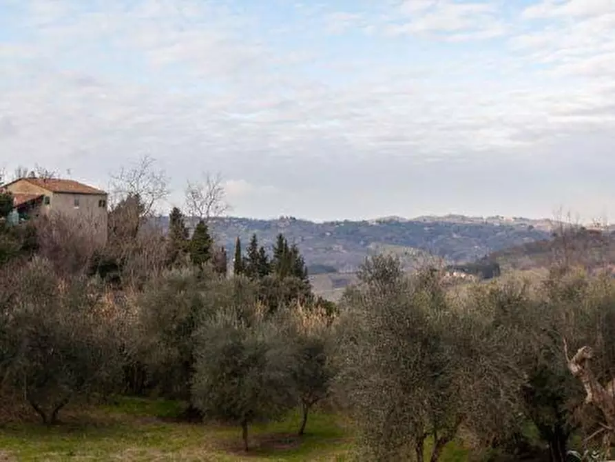 Immagine 32 di Porzione di casa in vendita  a Peccioli