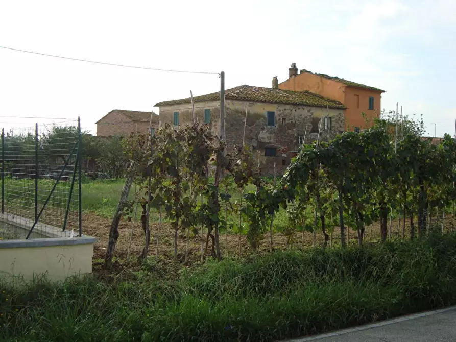 Immagine 4 di Casa colonica in vendita  a Larciano