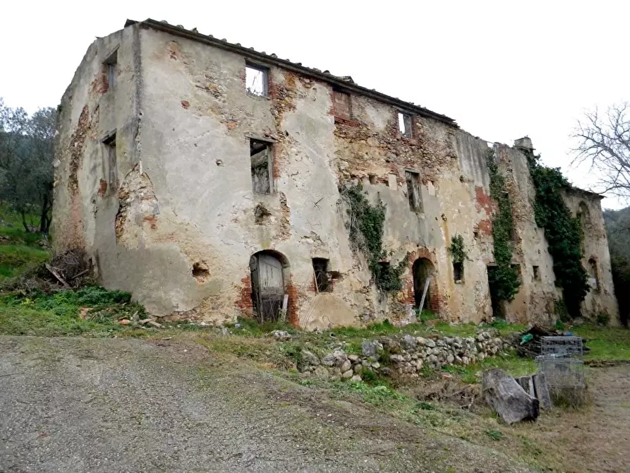 Immagine 2 di Rustico / casale in vendita  a San Giuliano Terme