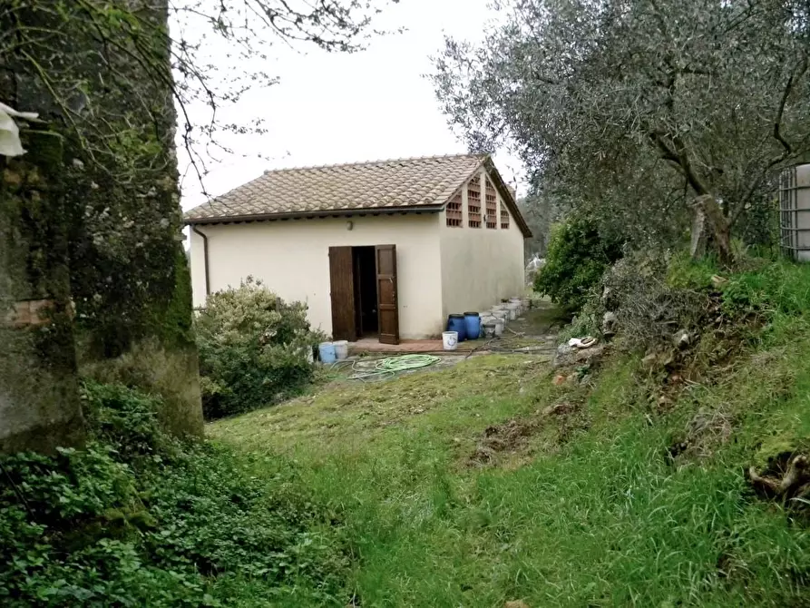 Immagine 15 di Rustico / casale in vendita  a San Giuliano Terme