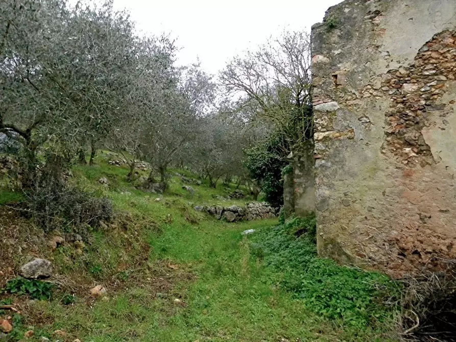 Immagine 3 di Rustico / casale in vendita  a San Giuliano Terme