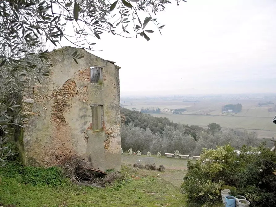 Immagine 7 di Rustico / casale in vendita  a San Giuliano Terme