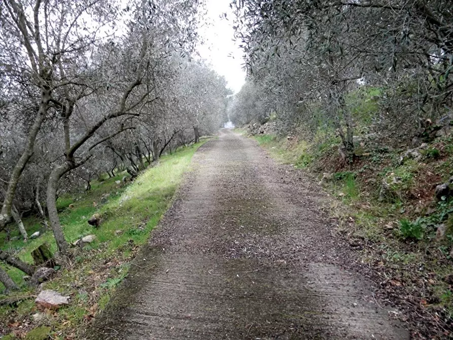 Immagine 8 di Rustico / casale in vendita  a San Giuliano Terme