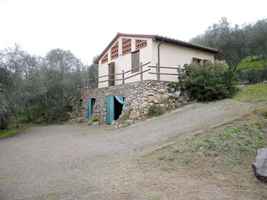 Immagine 5 di Rustico / casale in vendita  a San Giuliano Terme