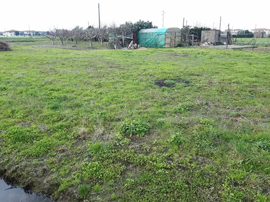 Immagine 2 di Terreno agricolo in vendita  a Cascina