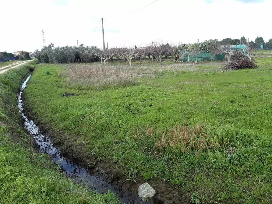 Immagine 1 di Terreno agricolo in vendita  a Cascina