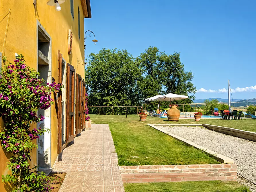 Immagine 1 di Azienda agricola in vendita  a Peccioli