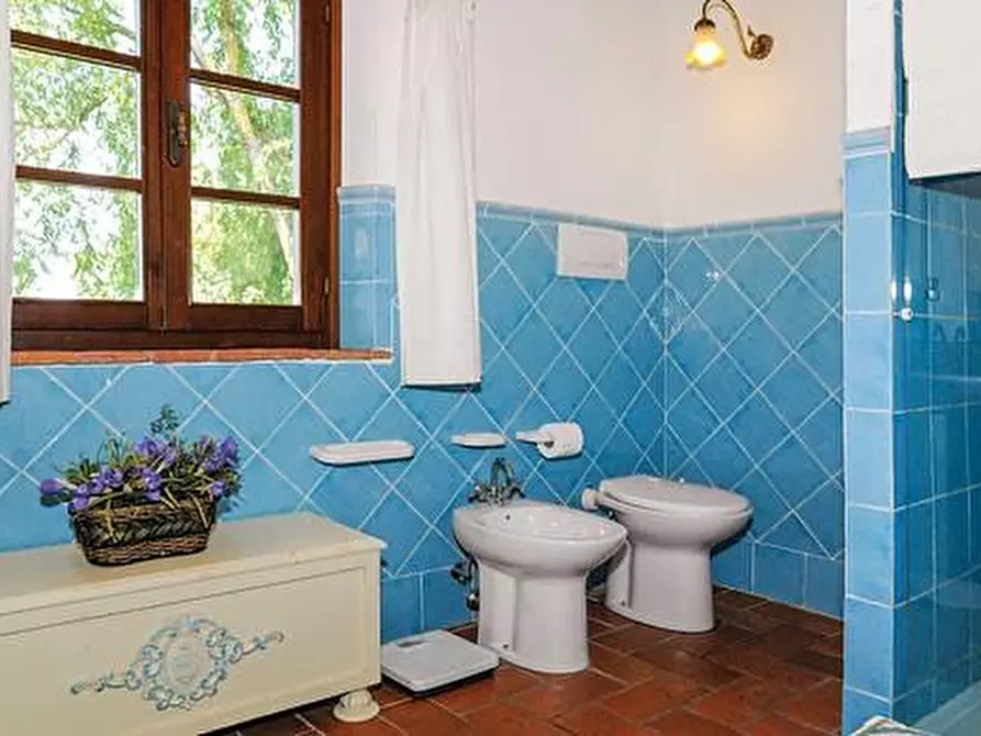 Immagine 15 di Azienda agricola in vendita  a Peccioli