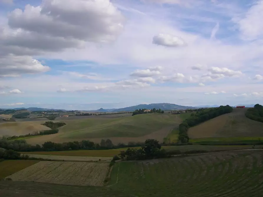 Immagine 9 di Azienda agricola in vendita  a Peccioli