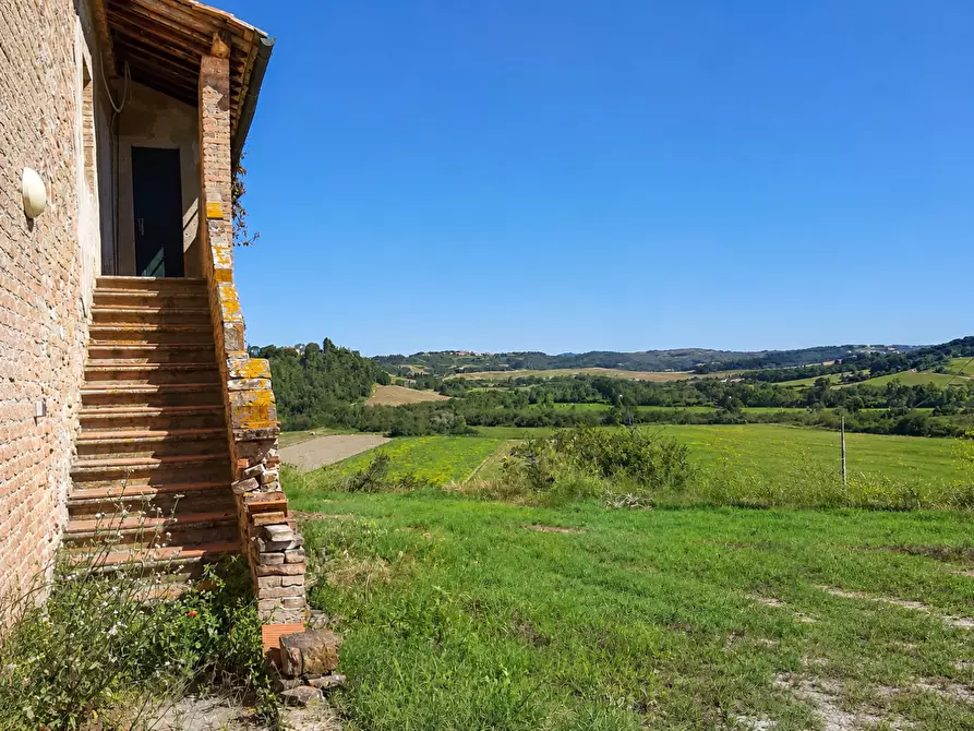 Immagine 18 di Azienda agricola in vendita  a Peccioli