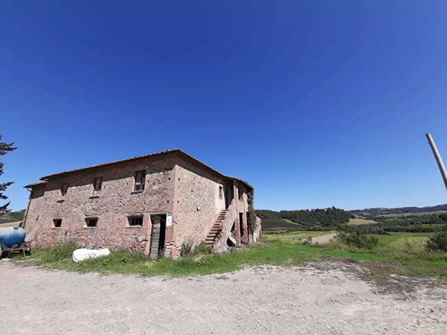 Immagine 17 di Azienda agricola in vendita  a Peccioli