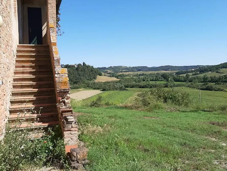 Immagine 17 di Azienda agricola in vendita  a Peccioli