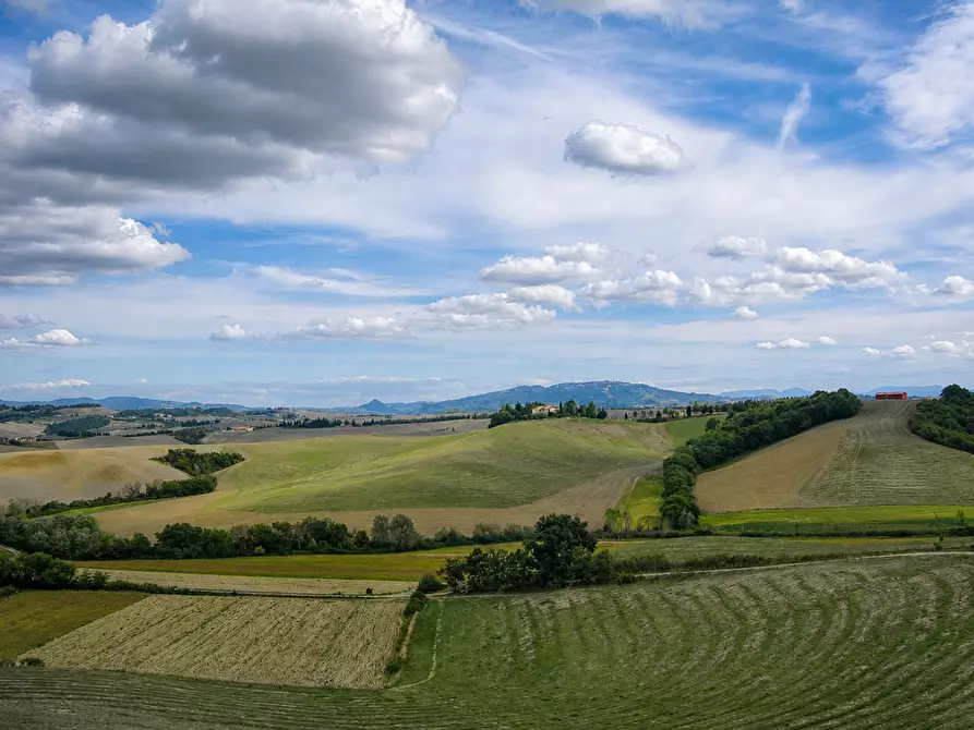Immagine 12 di Azienda agricola in vendita  a Peccioli