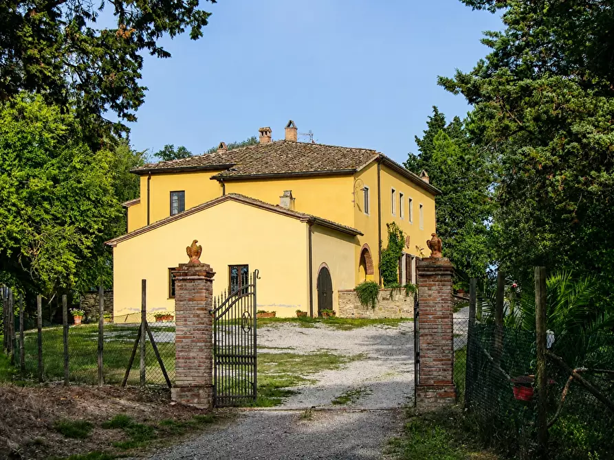 Immagine 13 di Azienda agricola in vendita  a Peccioli