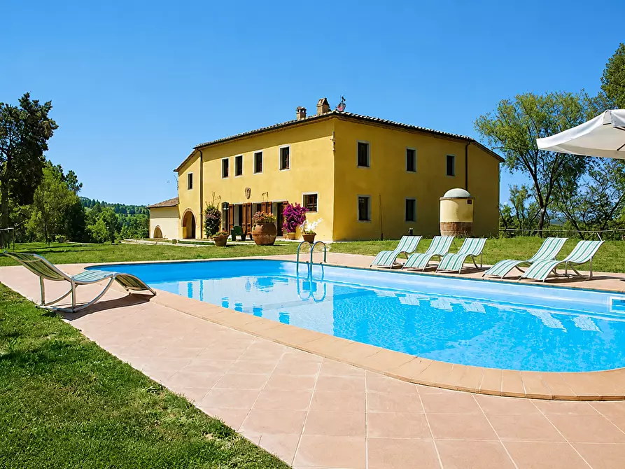 Immagine 5 di Azienda agricola in vendita  a Peccioli