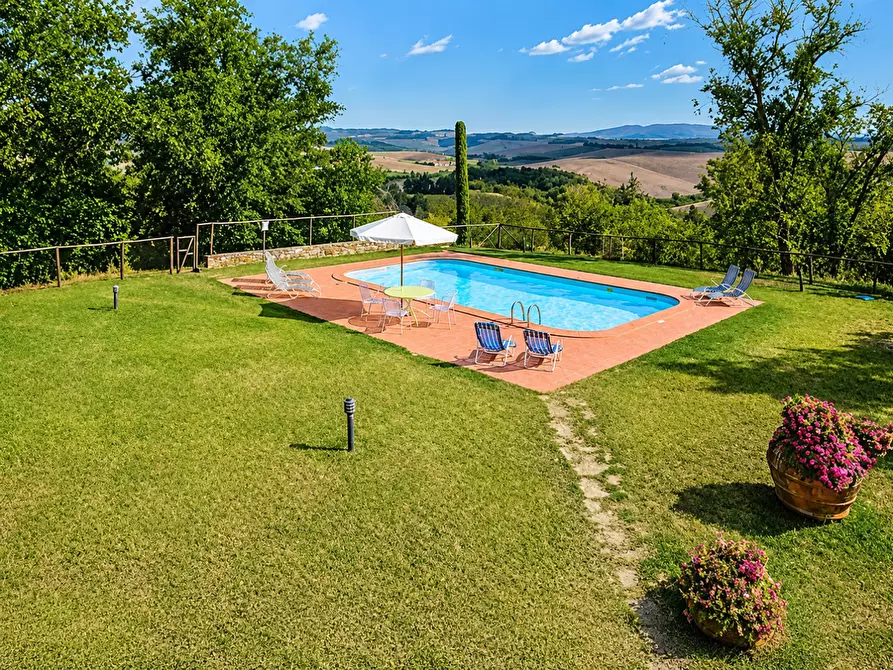 Immagine 2 di Azienda agricola in vendita  a Peccioli