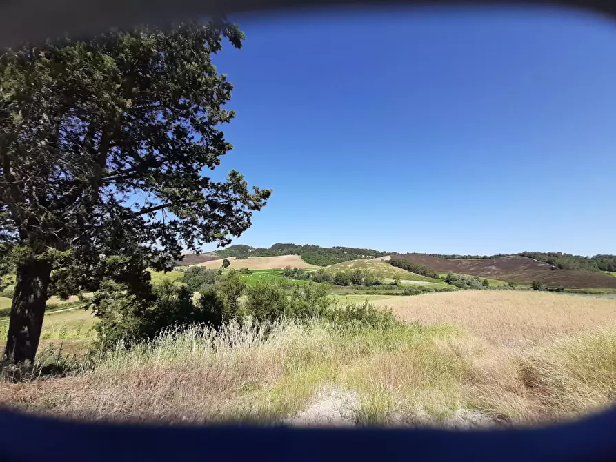 Immagine 19 di Azienda agricola in vendita  a Peccioli