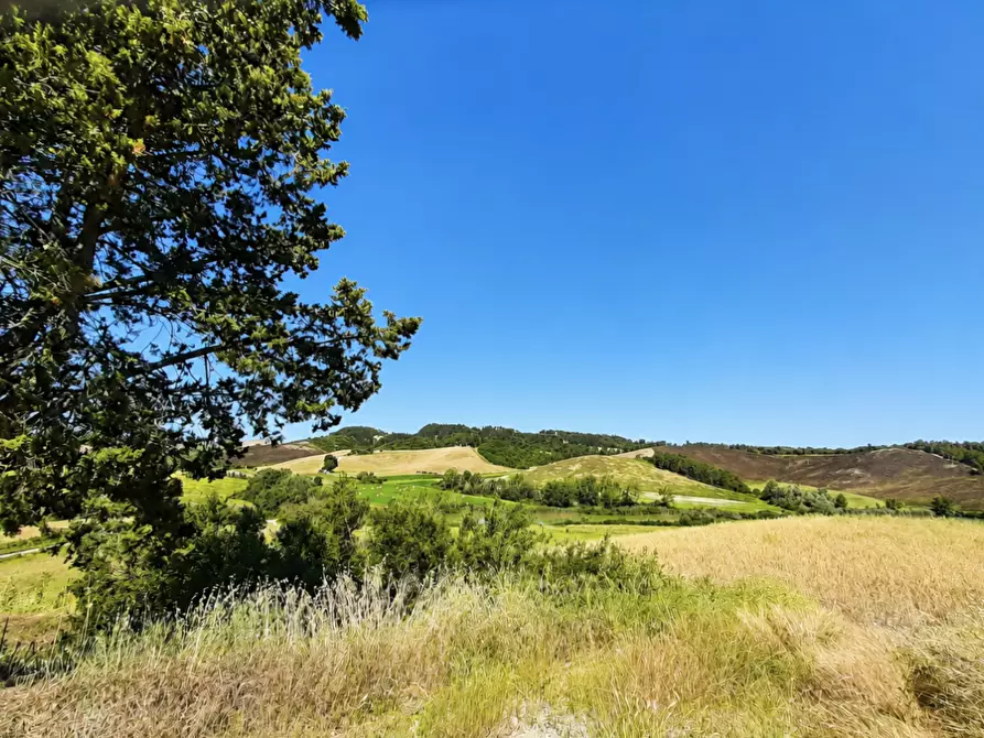 Immagine 15 di Azienda agricola in vendita  a Peccioli