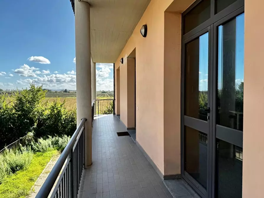 Immagine 31 di Ufficio in affitto  a San Giuliano Terme