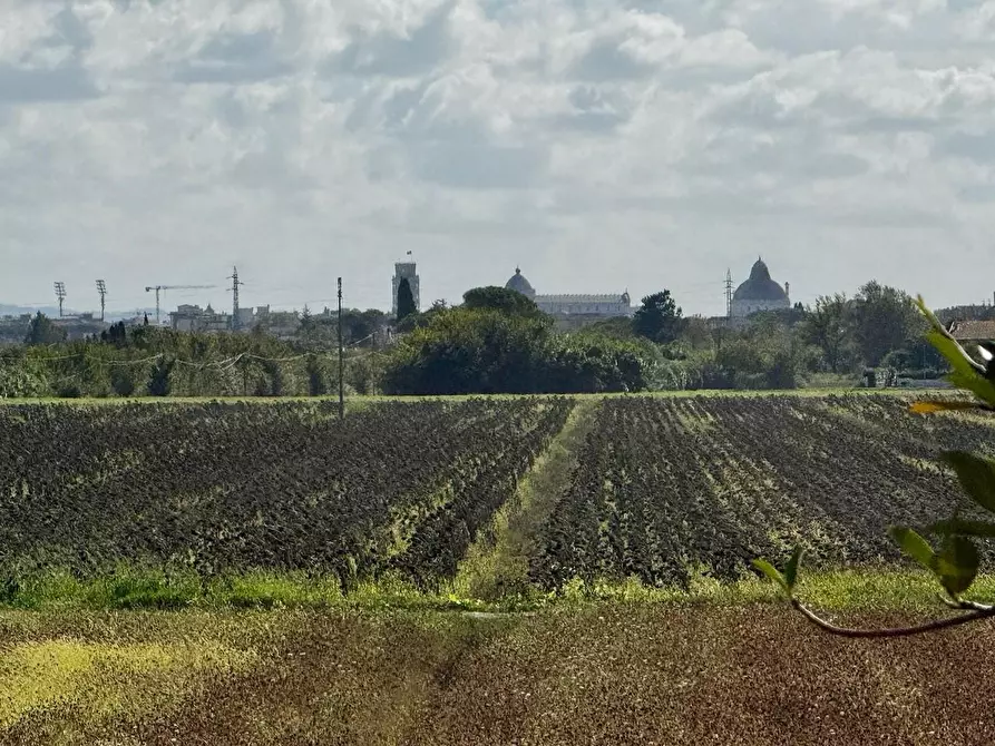 Immagine 17 di Ufficio in affitto  a San Giuliano Terme