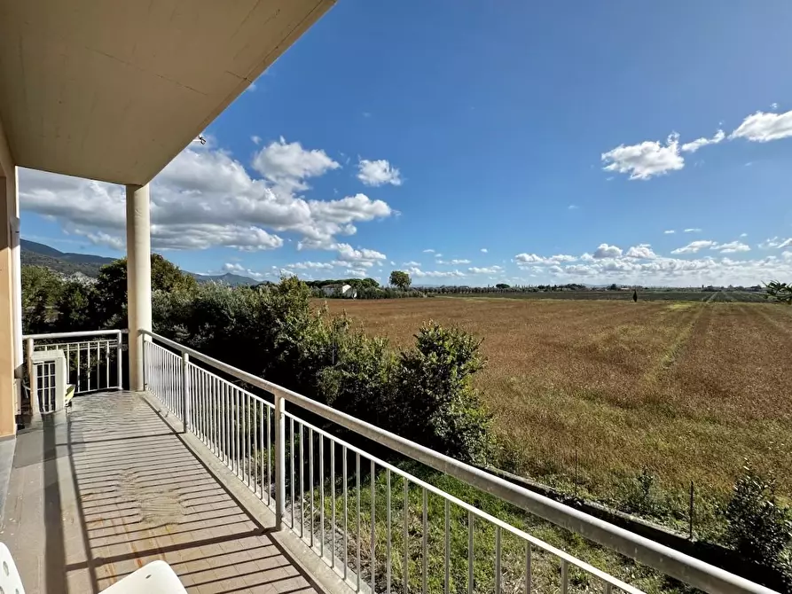 Immagine 21 di Ufficio in affitto  a San Giuliano Terme