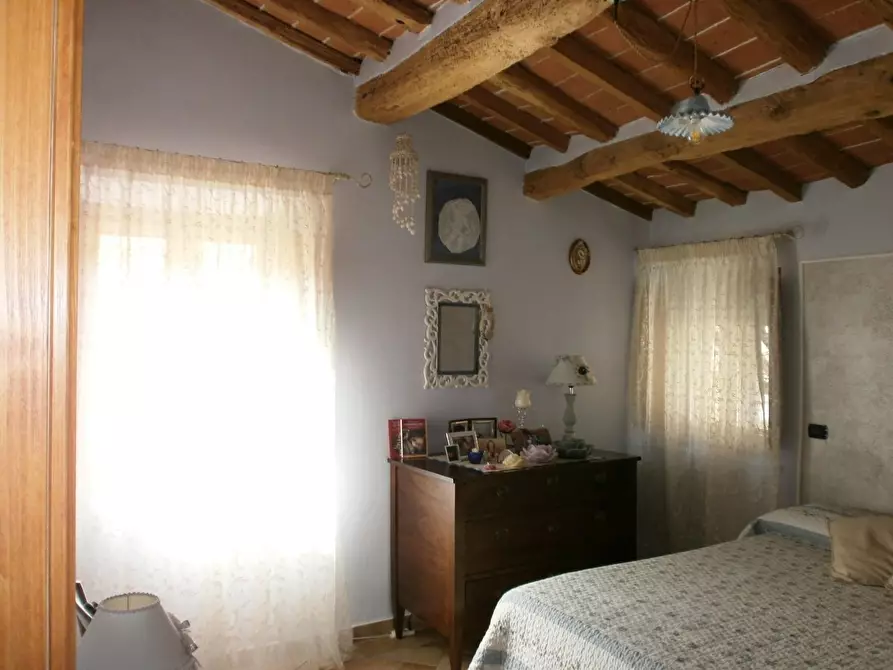 Immagine 5 di Appartamento in vendita  a Peccioli