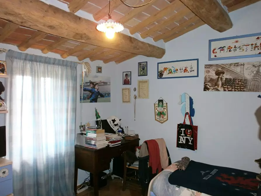 Immagine 6 di Appartamento in vendita  a Peccioli