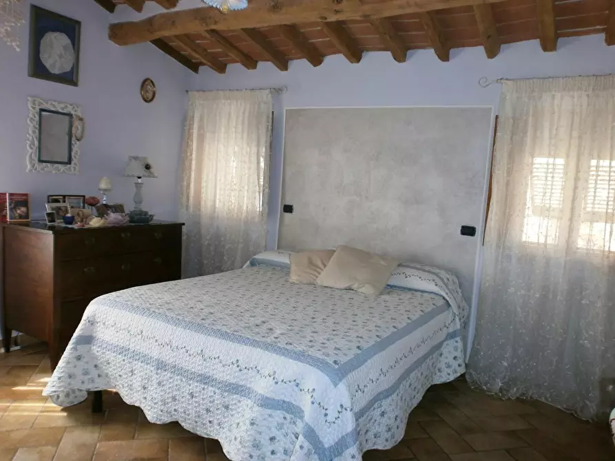 Immagine 4 di Appartamento in vendita  a Peccioli