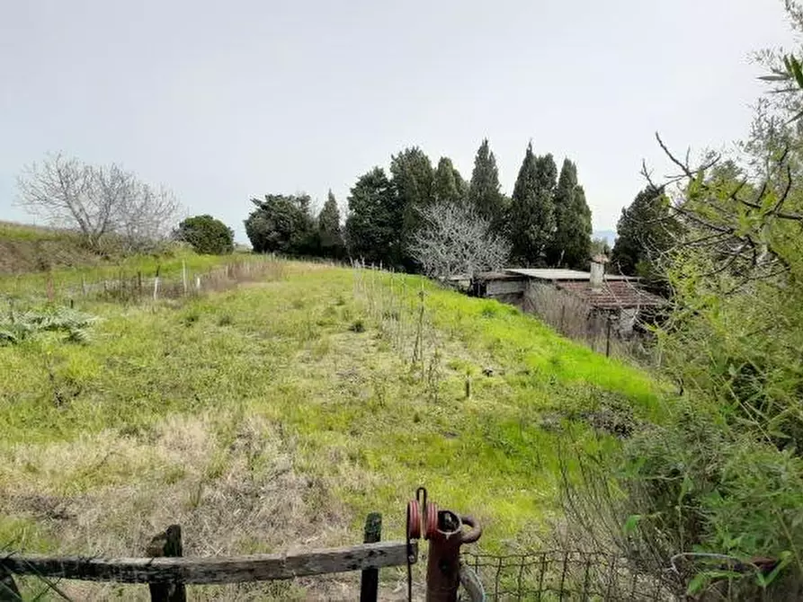 Immagine 5 di Porzione di casa in vendita  a Rosignano Marittimo