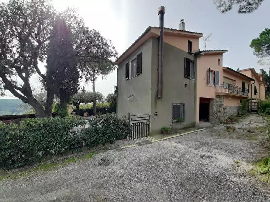 Immagine 3 di Porzione di casa in vendita  a Rosignano Marittimo
