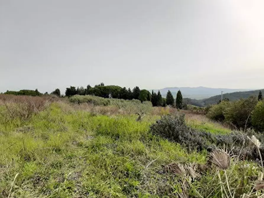 Immagine 6 di Porzione di casa in vendita  a Rosignano Marittimo