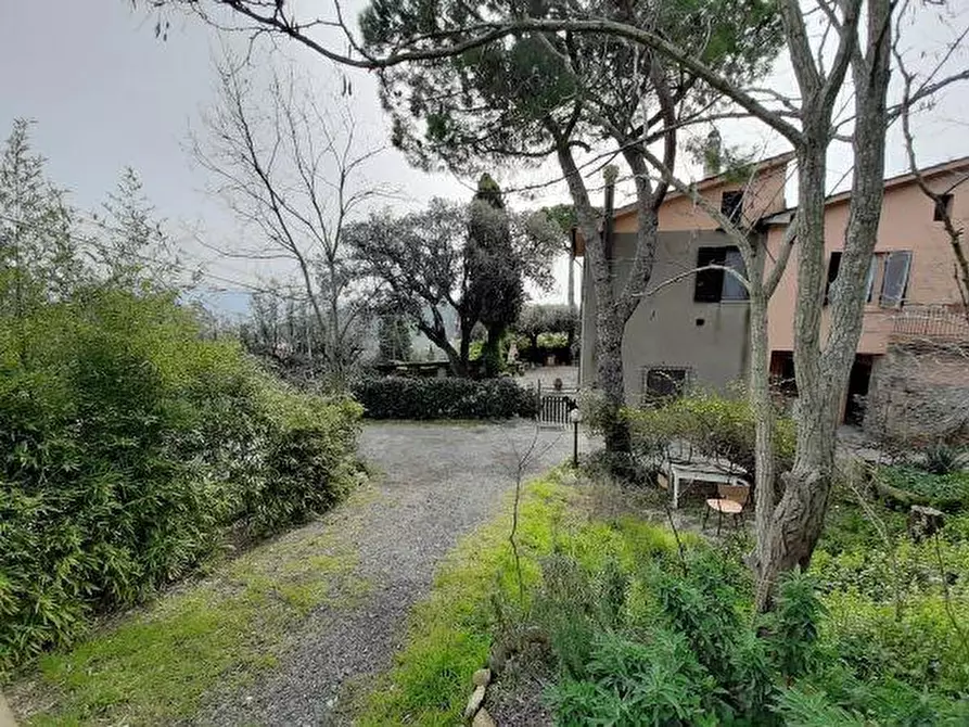 Immagine 4 di Porzione di casa in vendita  a Rosignano Marittimo
