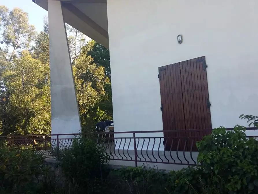 Immagine 4 di Villa in vendita  a Montalcino