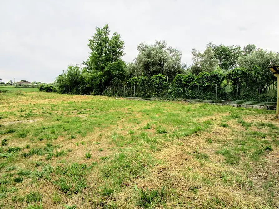 Immagine 20 di Villa in vendita  a Fucecchio