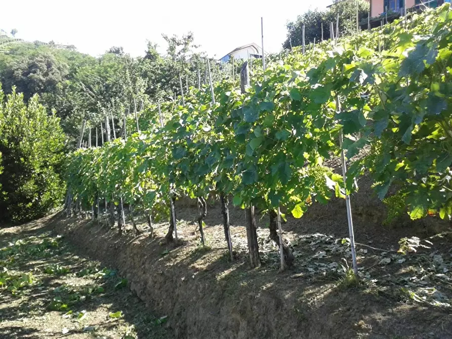 Immagine 11 di Casa semindipendente in vendita  a Carrara