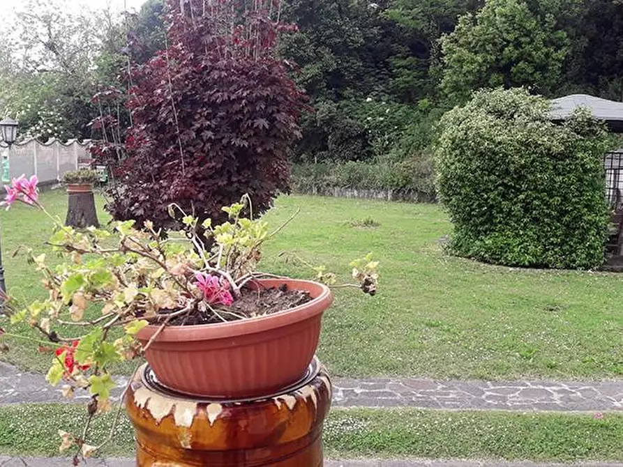 Immagine 2 di Casa semindipendente in vendita  a Carrara