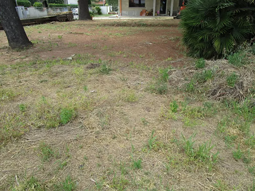 Immagine 4 di Terreno residenziale in vendita  a Santa Croce Sull'arno