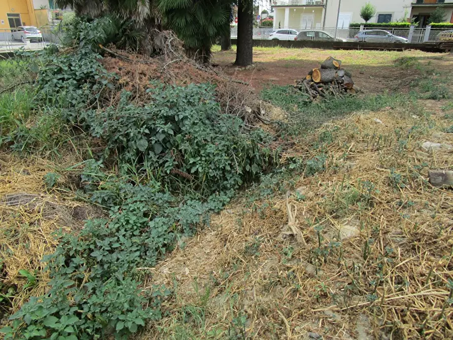 Immagine 3 di Terreno residenziale in vendita  a Santa Croce Sull'arno