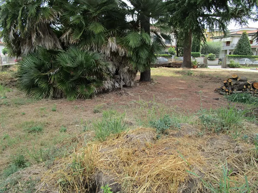 Immagine 2 di Terreno residenziale in vendita  a Santa Croce Sull'arno